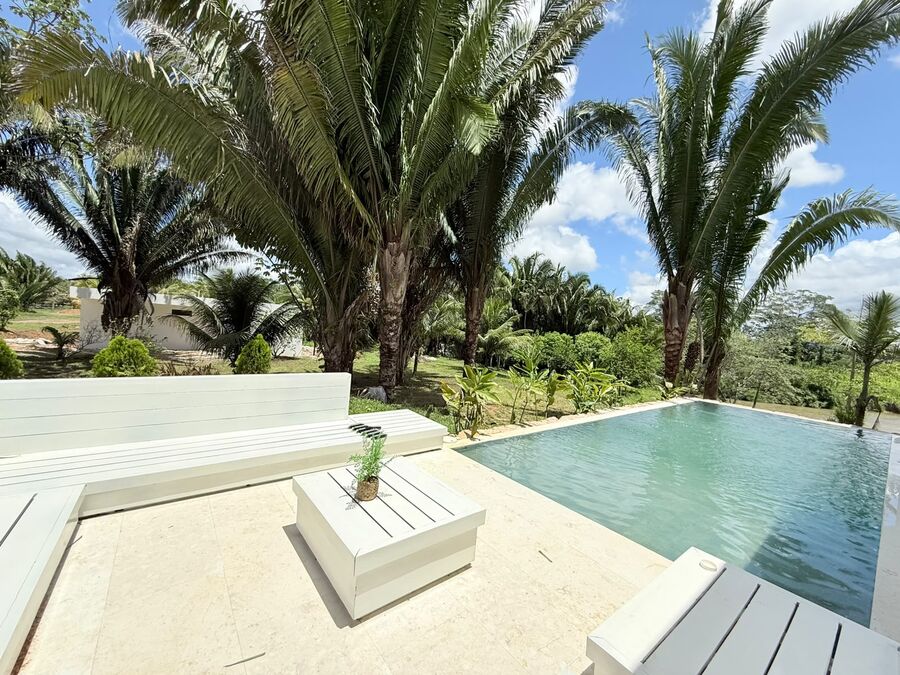 Swimming pool with a view