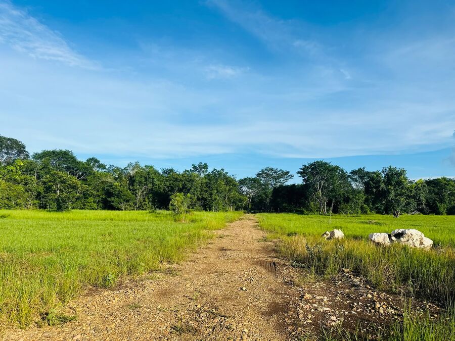 Spacious open green lots